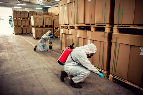Best Affordable Pest Control Services  in Bayou Country Clu, LA