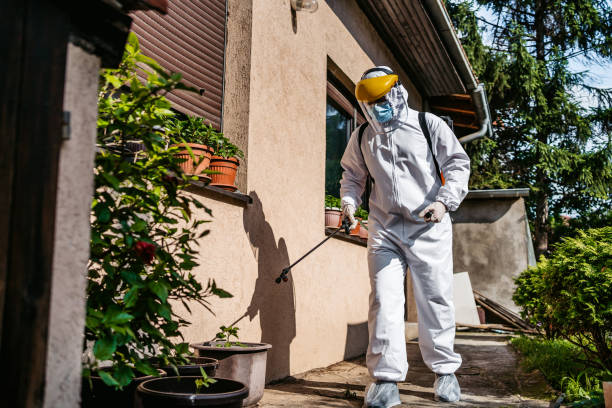 Best Pest Prevention Services  in Bayou Country Clu, LA