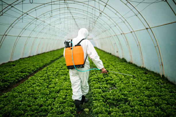 Best Residential Pest Control  in Bayou Country Clu, LA