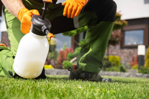 Best Rat Extermination Near Me  in Bayou Country Clu, LA