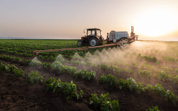 Best Cockroach Control Services  in Bayou Country Clu, LA