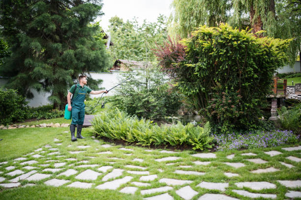 Best Pest Inspection Near Me  in Bayou Country Clu, LA