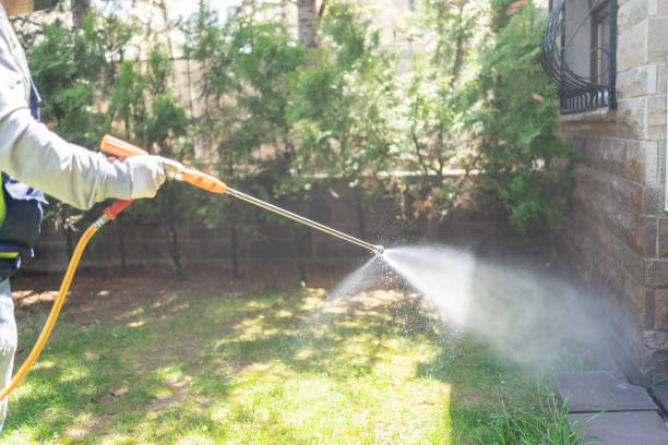Best Mosquito Control Services  in Bayou Country Clu, LA