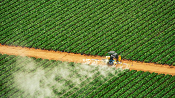 Pest Control for Restaurants in Bayou Country Clu, LA